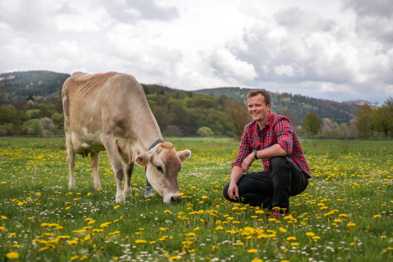 Landwirt Henk mit Kuh